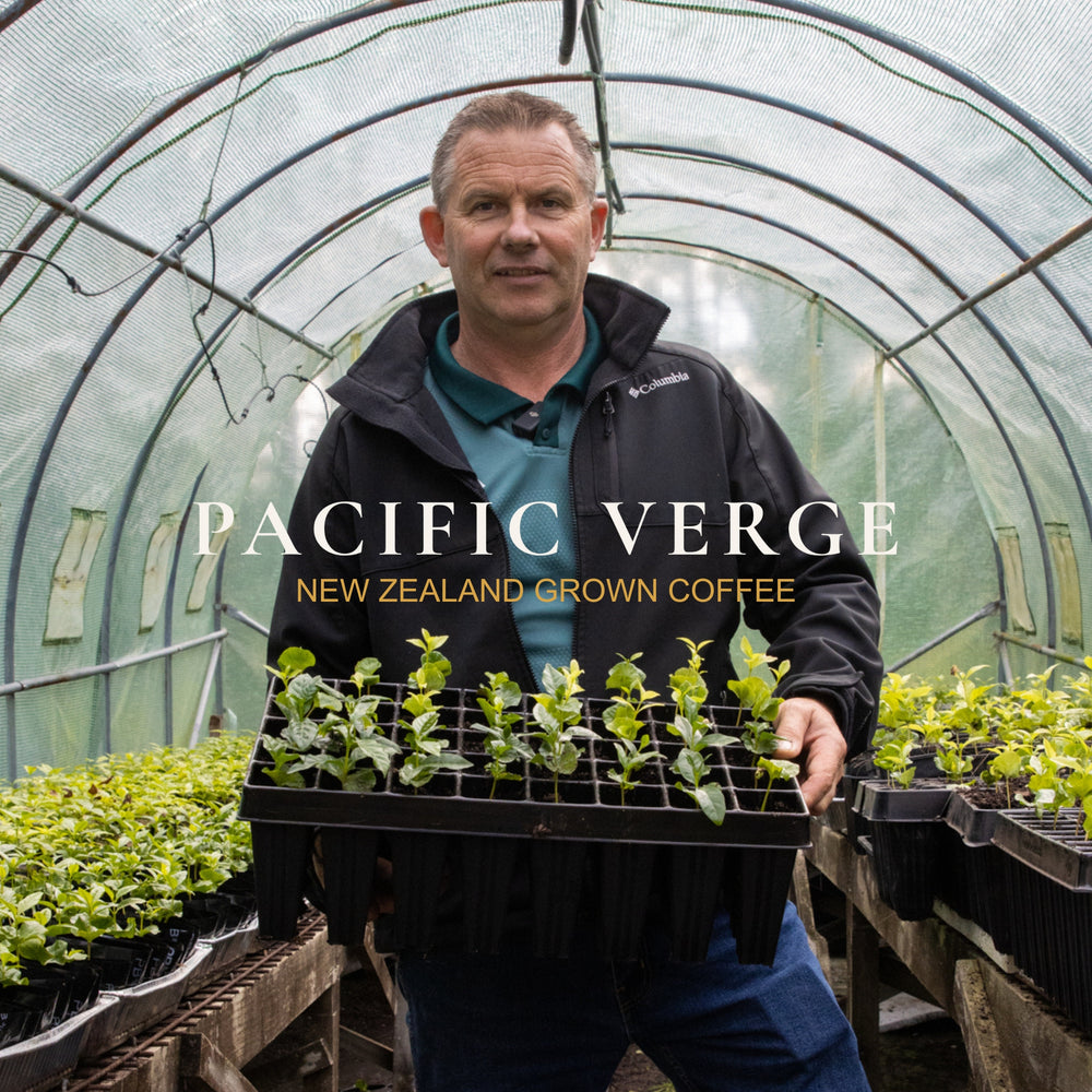 Doug Simons (Founder of Pacific Verge Coffee)