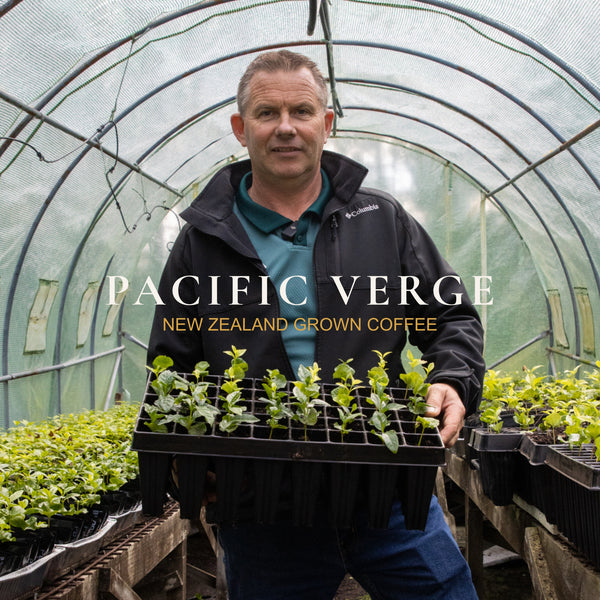 Pacific Verge